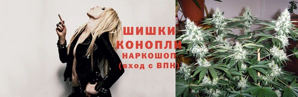 скорость Алзамай