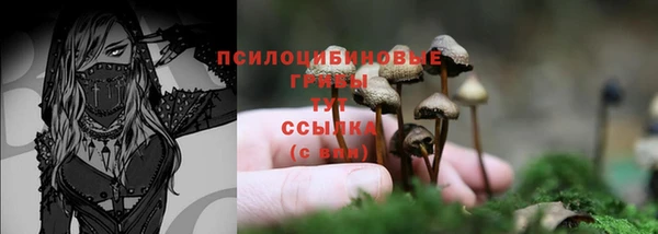 скорость Алзамай