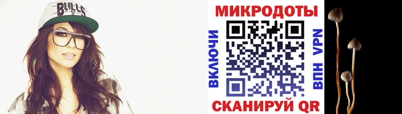 Галлюциногенные грибы Magic Shrooms гидра зеркало Ярцево купить закладку