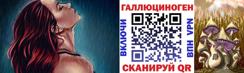 Галлюциногенные грибы Psilocybine cubensis Ярцево