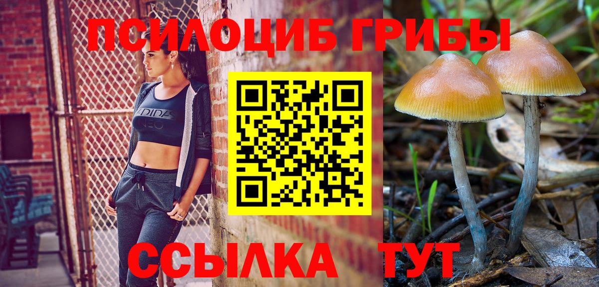 Псилоцибиновые грибы ЛСД Ярцево