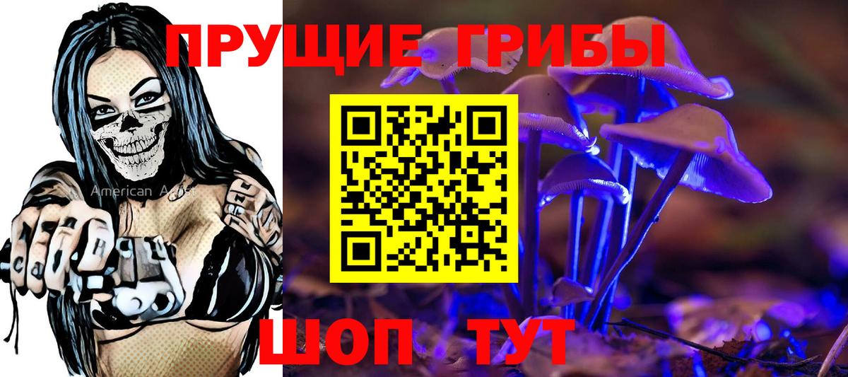 Псилоцибиновые грибы Cubensis  Вход с VPN  Псилоцибиновые грибы мицелий  Ярцево 